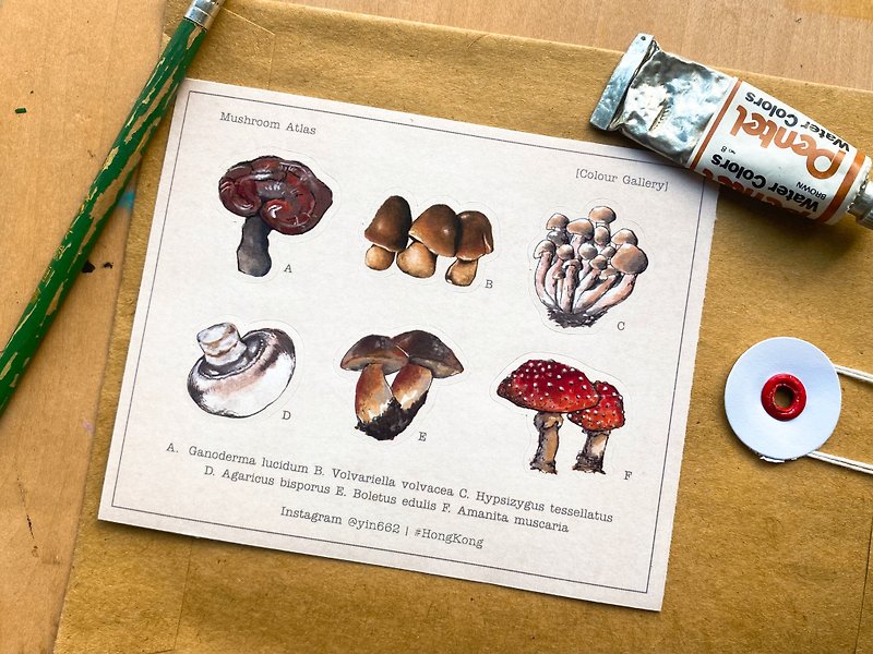 【Wonderful creature】Beautiful fungi - illustrated sticker - สติกเกอร์ - กระดาษ สีกากี