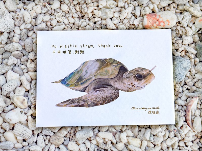 Don't Straw Turtle Hand Painted Watercolor Illustration Postcard - Cards & Postcards - Paper Brown