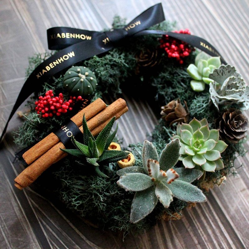 [Christmas Exclusive] Homemade after get off work | Jungle succulent wreath - Plants & Floral Arrangement - Plants & Flowers 