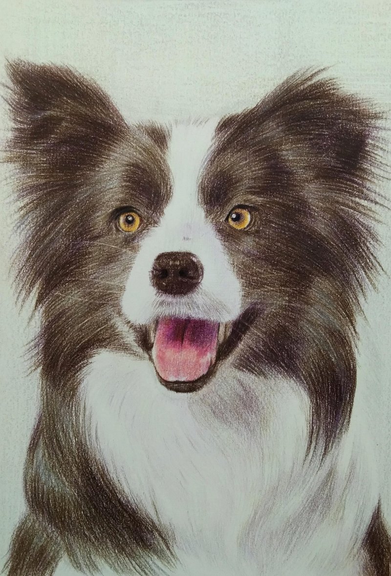 Colored pencil drawing/ pet drawing/ half body/ framed - ภาพวาดบุคคล - กระดาษ 