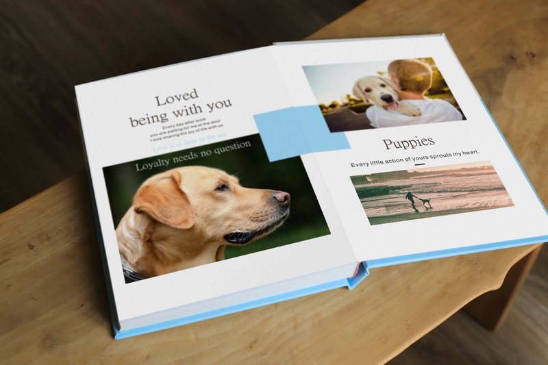 Dog photo album/large format hardcover double mounted double page spread/pet photo book customized - Other - Paper 