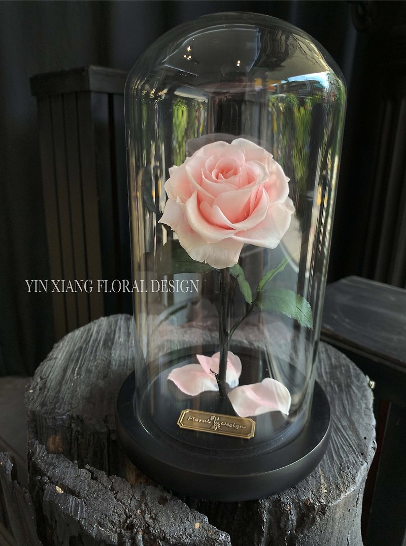 Valentine's Day Flower Gift/Beauty and the Beast Immortal Flower-Classic Invincible Rose First Love Powder S - ช่อดอกไม้แห้ง - พืช/ดอกไม้ สึชมพู