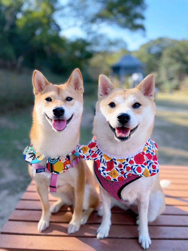 田園小花系列花形口水肩 口水巾 - 項圈/牽繩 - 棉．麻 多色