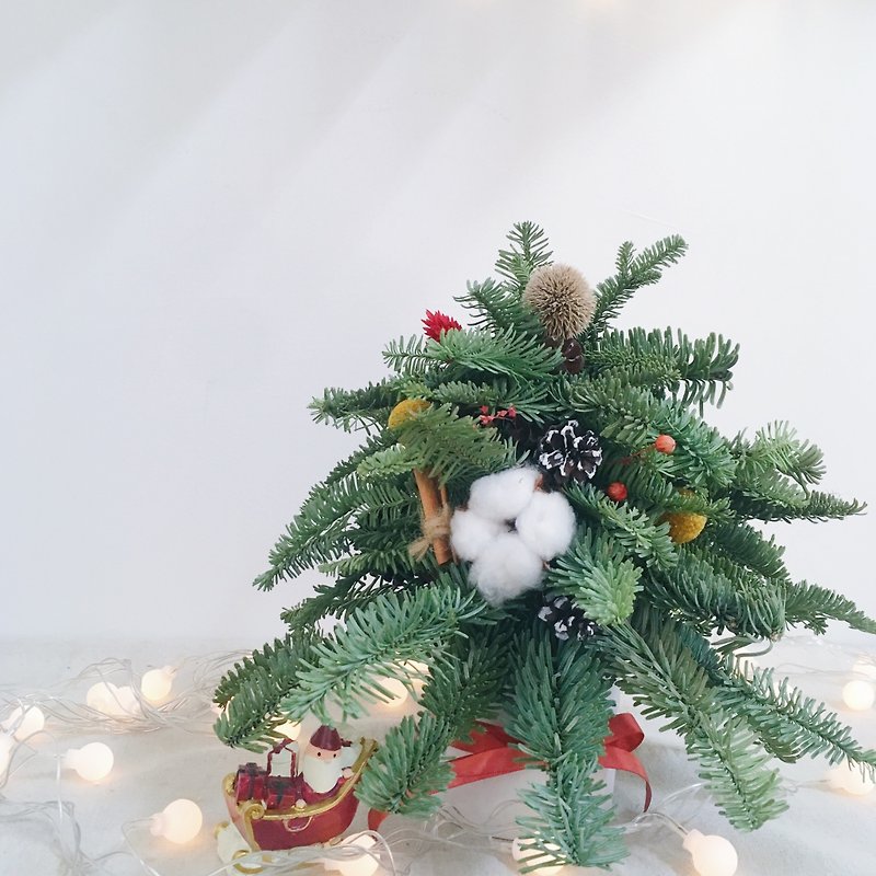 クリスマス限定|ハンドメイドノブゾンクリスマスツリークリスマスプレゼント - ドライフラワー・ブーケ - 寄せ植え・花 グリーン