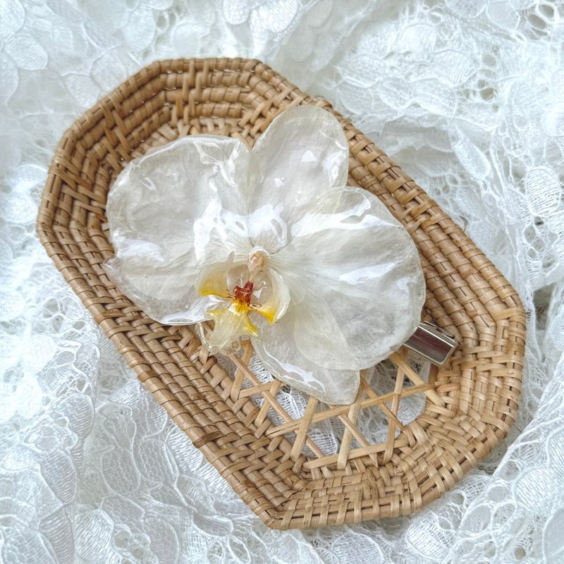 White Phalaenopsis Orchid Hair Clip - 髮圈/髮夾 - 植物．花 白色
