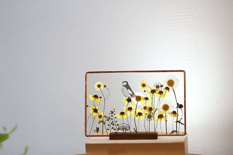 Plant Illustrated Book|Springwort. Forget-me-not. Chamomile|Glass Inlay|Flower and Plant Specimens - ช่อดอกไม้แห้ง - พืช/ดอกไม้ สีเหลือง