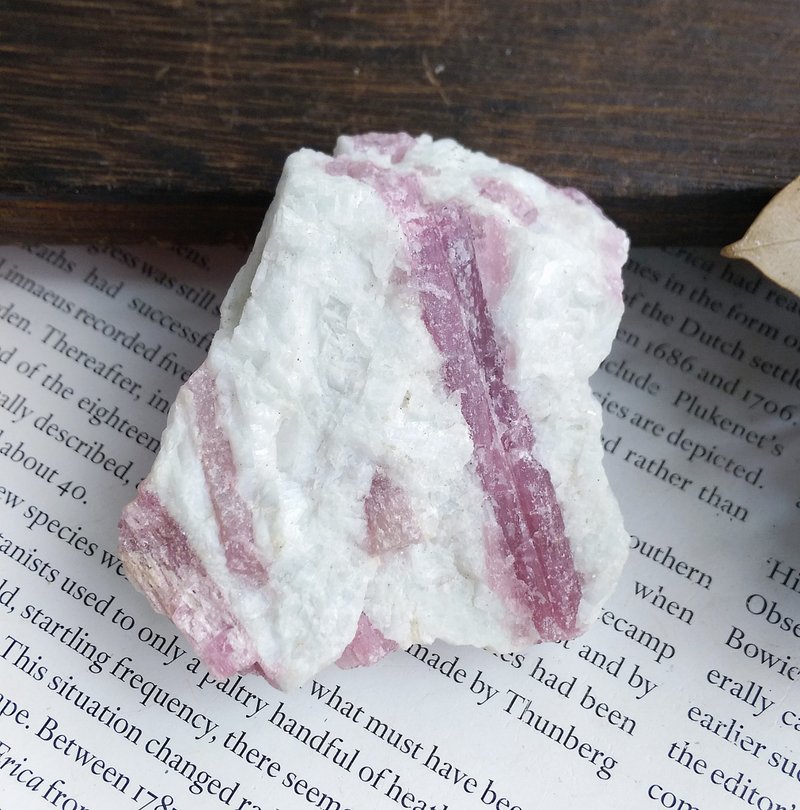 Tourmaline  巴西產地 電氣石 粉碧璽 天然礦石 原礦 - 擺飾/家飾品 - 其他材質 