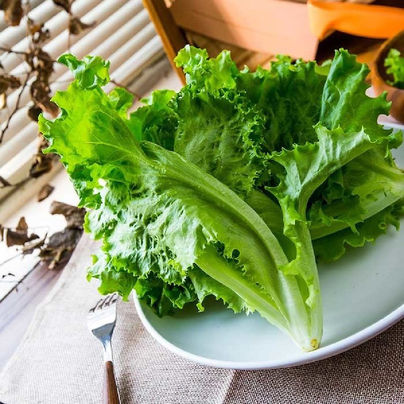【Yuanxian Wisdom Farm】Italian Green Fairy-150g(Cabbage) - Other - Fresh Ingredients 