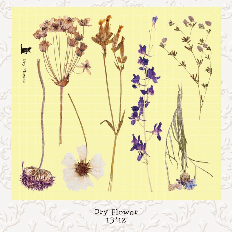 Dry Flower deco - White Printed PET (blue lion) (suyeon) - 貼紙 - 紙 多色