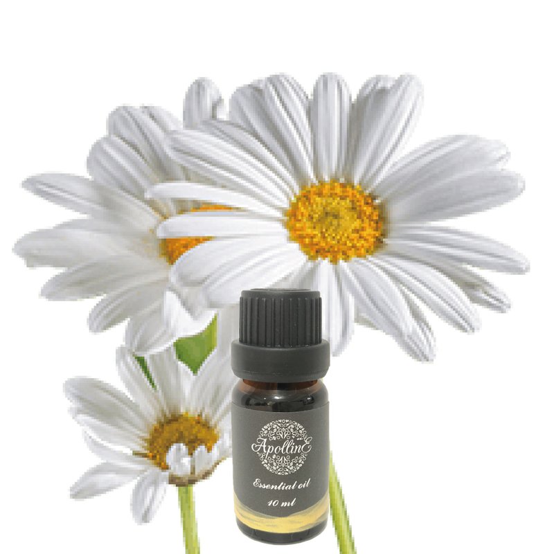 羅馬洋甘菊精油 ROMAN CHAMOMILE - 香氛/精油/擴香 - 精油 
