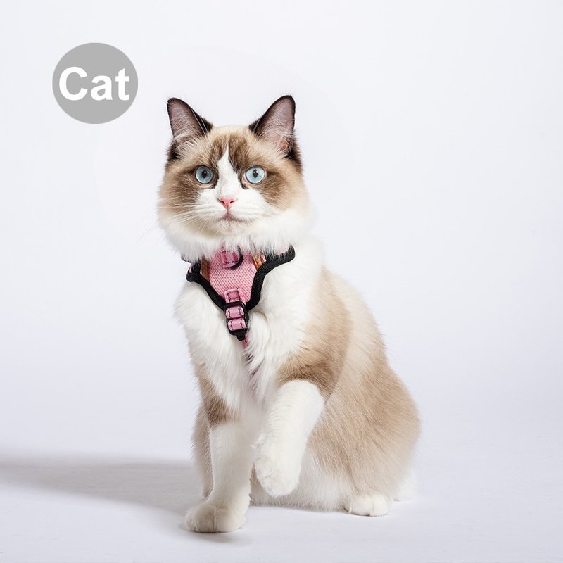Pawfect-Fit! Pet Harness 機能寵物胸背帶2.0(Cat) - 項圈/牽繩 - 聚酯纖維 