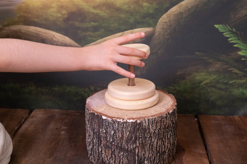 Wooden Circle Tower (Montessori) , Educational Toy for Children - 寶寶/兒童玩具/玩偶 - 木頭 咖啡色
