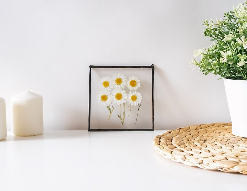 Pressed daisy in glass frame for home decor Pressed flower art Gift for her - Wall Décor - Glass Black