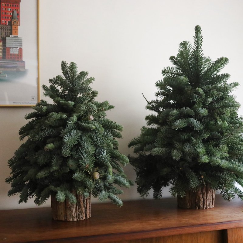 Imported Nobelson Christmas tree-bare tree - ของวางตกแต่ง - พืช/ดอกไม้ สีเขียว