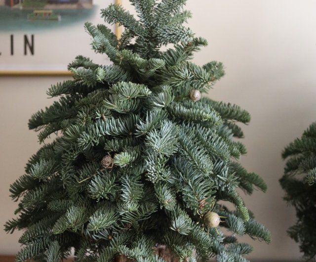 45cm Christmas Norfolk Pine Branches Artificial Greenery Pine