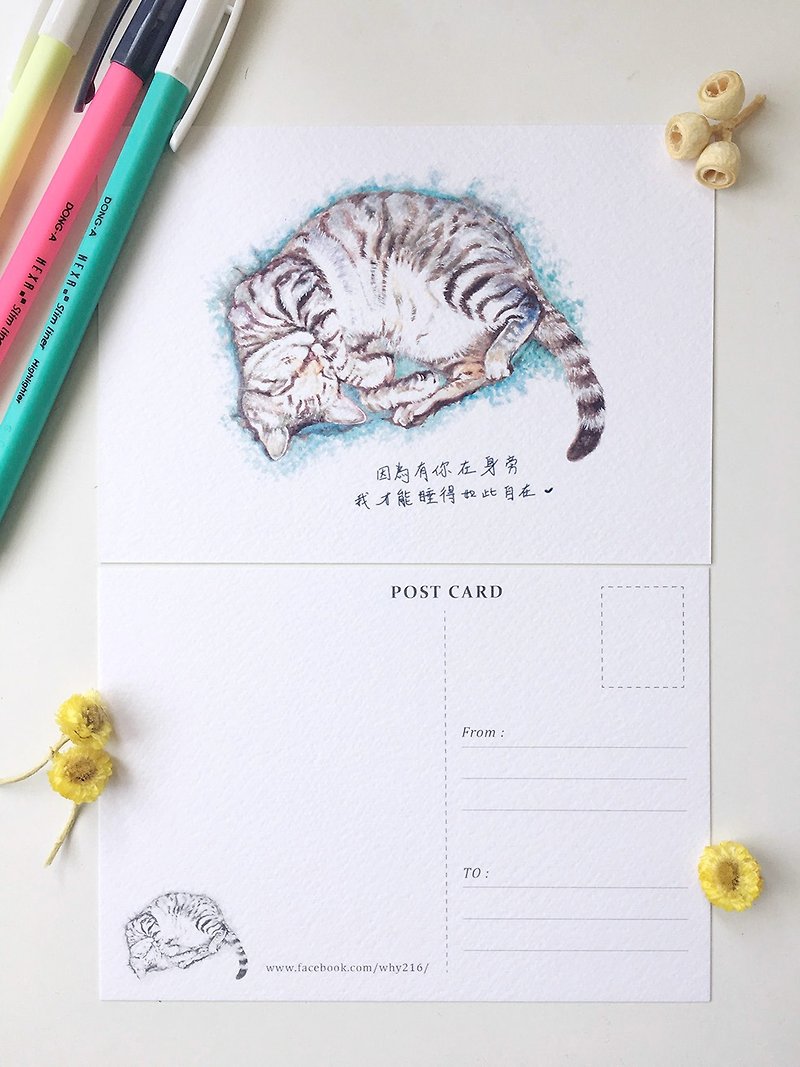 Animal illustration postcard [sleeping tabby cat] - Cards & Postcards - Paper White