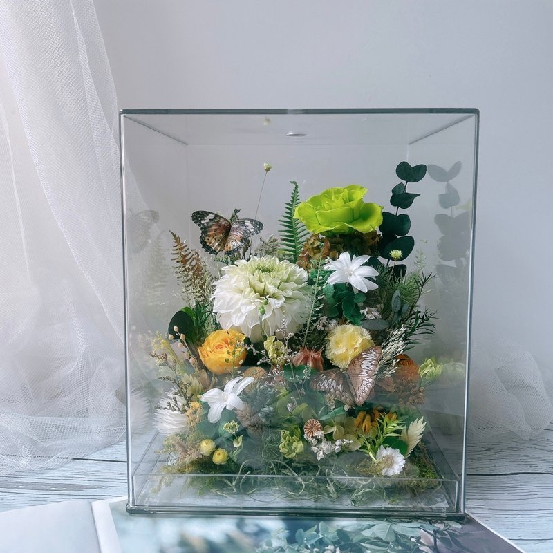 小森林全透明永生花盒  開幕禮 生日禮 客製化禮物 - 乾燥花/永生花 - 植物．花 