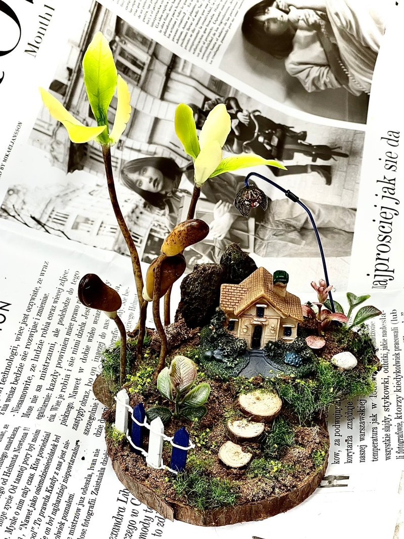 Breadflower Art Seed Potting Certificate Course - Plants & Floral Arrangement - Other Materials 