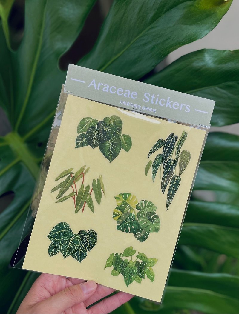 Araceae foliage plant transparent matte sticker