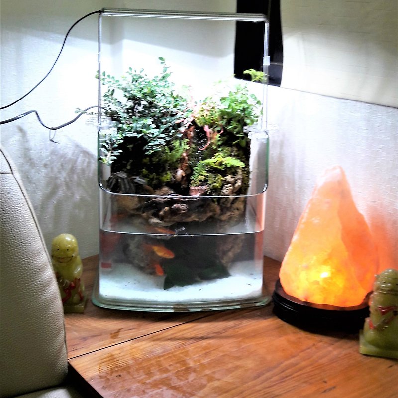 開運生態造景魚缸AA-30海灣型   居家風水最耀眼吸睛的擺飾 - 植物/盆栽/盆景 - 玻璃 