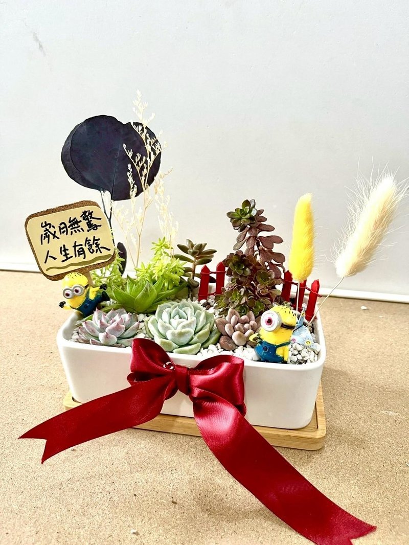 小小兵 貓咪 日式盆栽送禮 多肉組盆 多肉植物 升遷 生日 - 盆栽/植栽 - 植物．花 綠色