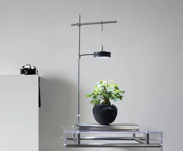 ウォルナット 植物用LEDライトスタンド 植物育成LEDライトスタンド4灯