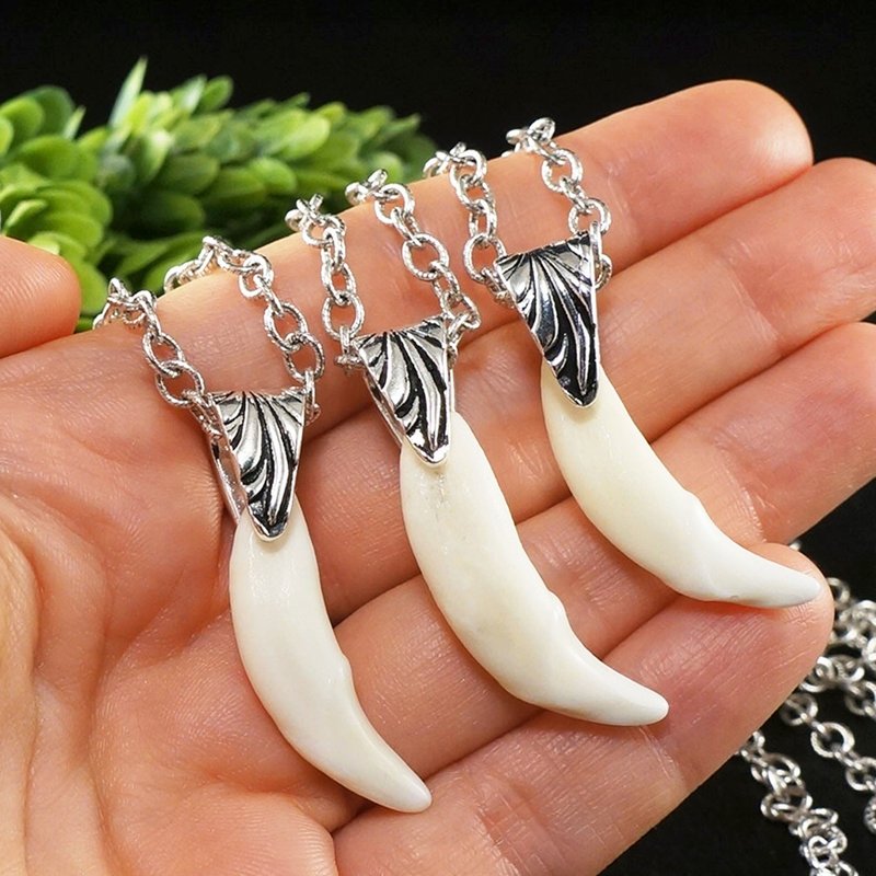 Real Wolf Tooth Necklace White Wolf Teeth Fang Tusk Pendant Necklace Jewelry - 項鍊 - 其他材質 白色