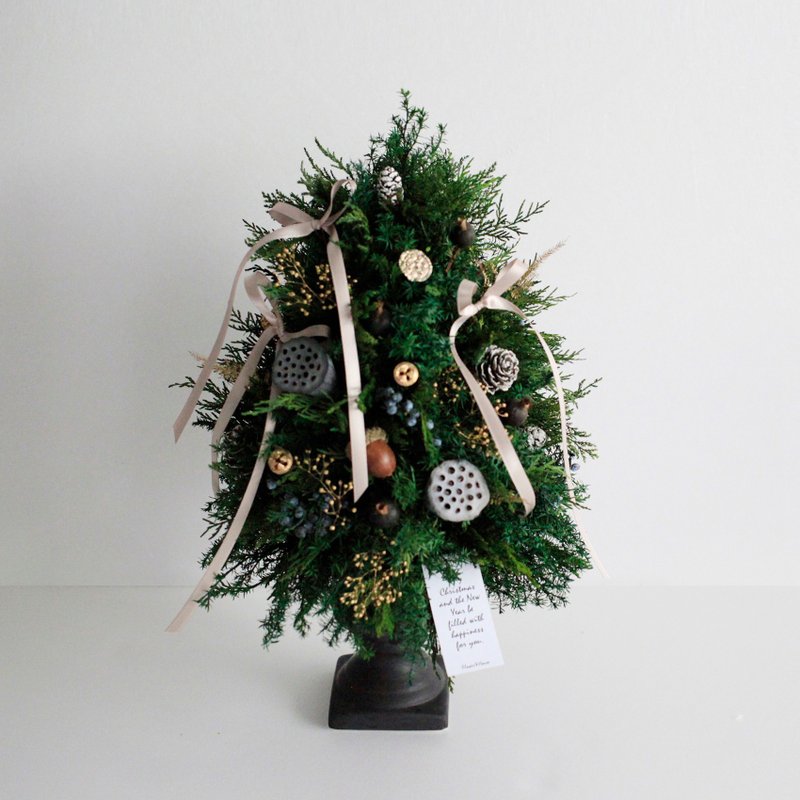 Xmas | Everlasting Cedar | Dried Fruit Christmas Tree | Home Decoration - ช่อดอกไม้แห้ง - พืช/ดอกไม้ สีเขียว