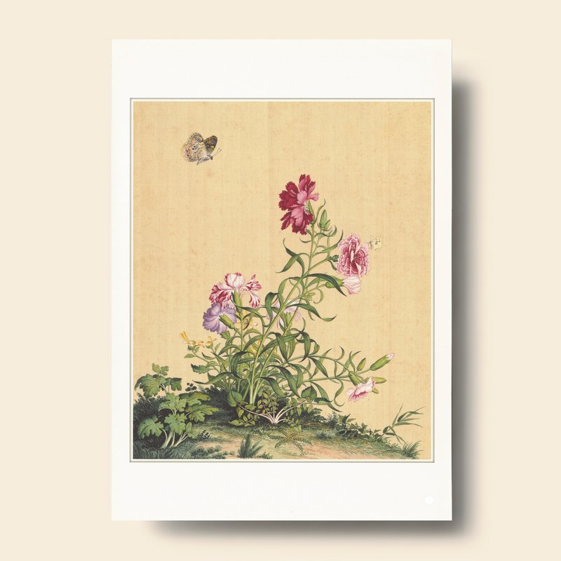 【藝術畫卡】仙萼長春 石竹 | B4畫卡 - 海報/掛畫/掛布 - 紙 卡其色