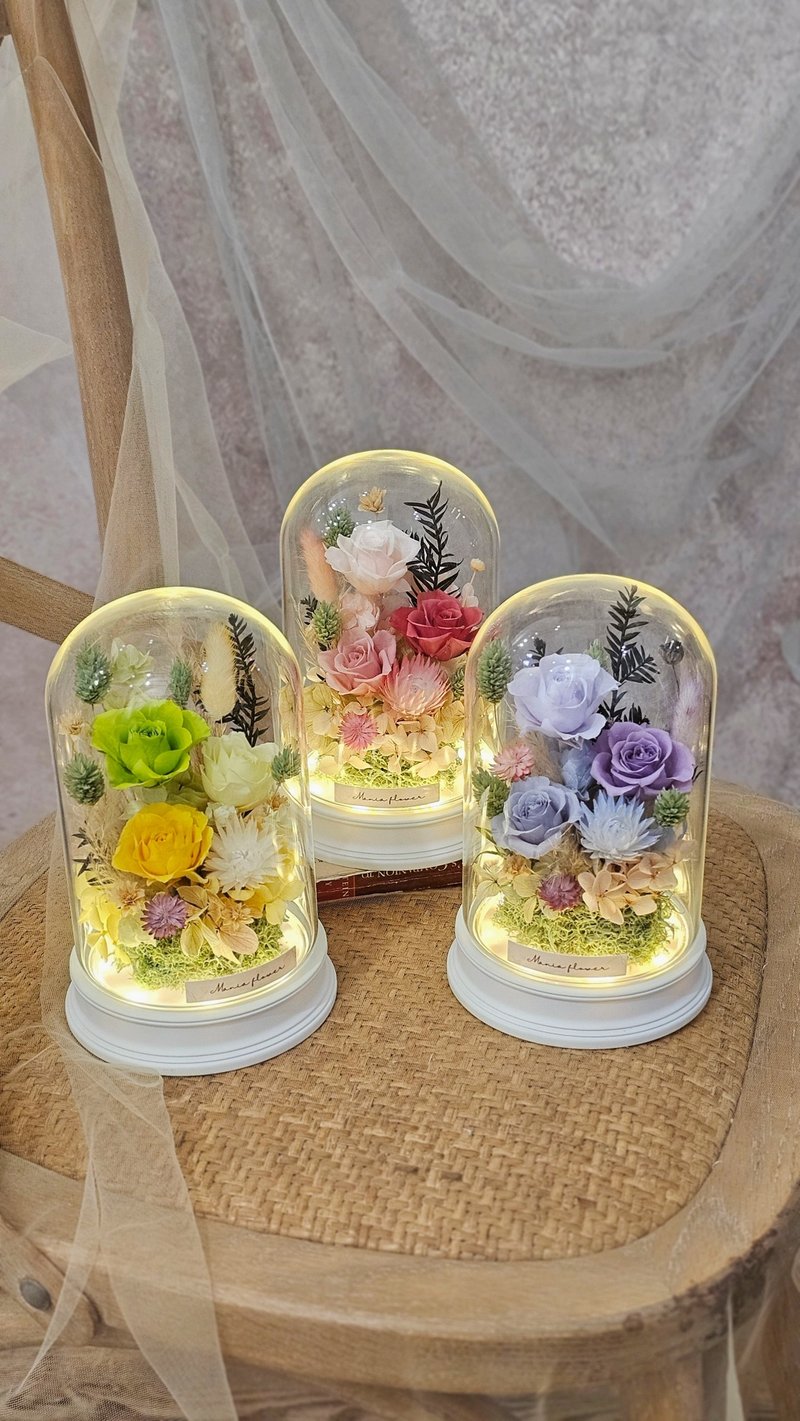 永生玫瑰玻璃罩 拍拍款 現貨 快速出貨 多色 - 乾燥花/永生花 - 植物．花 多色