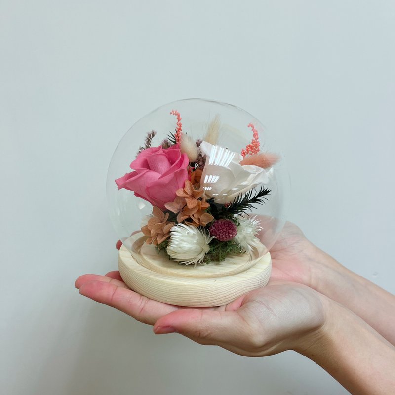 玻璃花盅/永生花盅/永生花玻璃罩-玻璃球型款 - 乾燥花/永生花 - 植物．花 