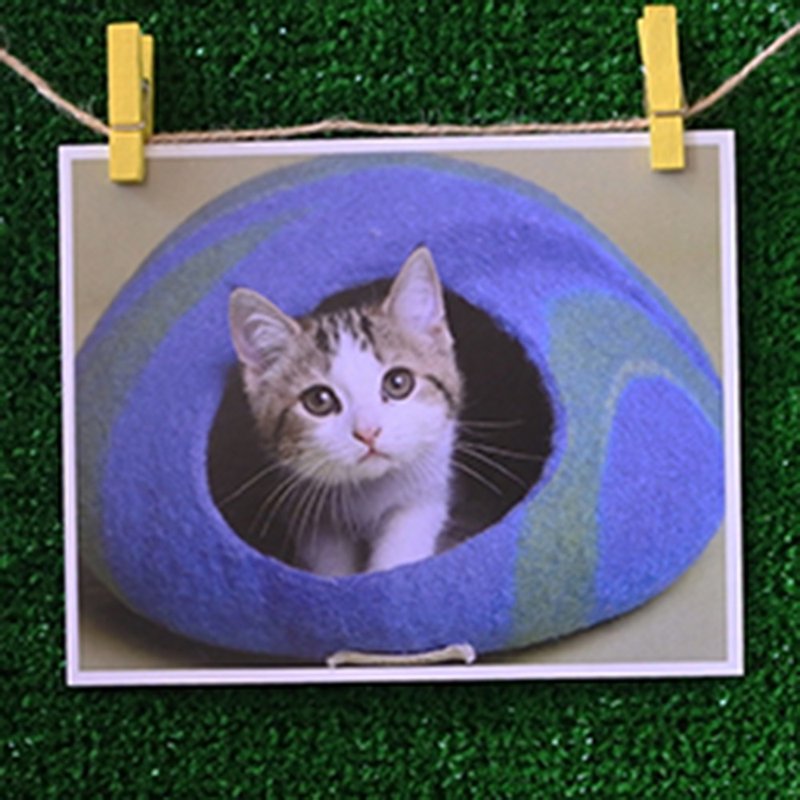 3猫屋猫写真ポストカード（写真：猫夫人）–幼稚 - カード・はがき - 紙 