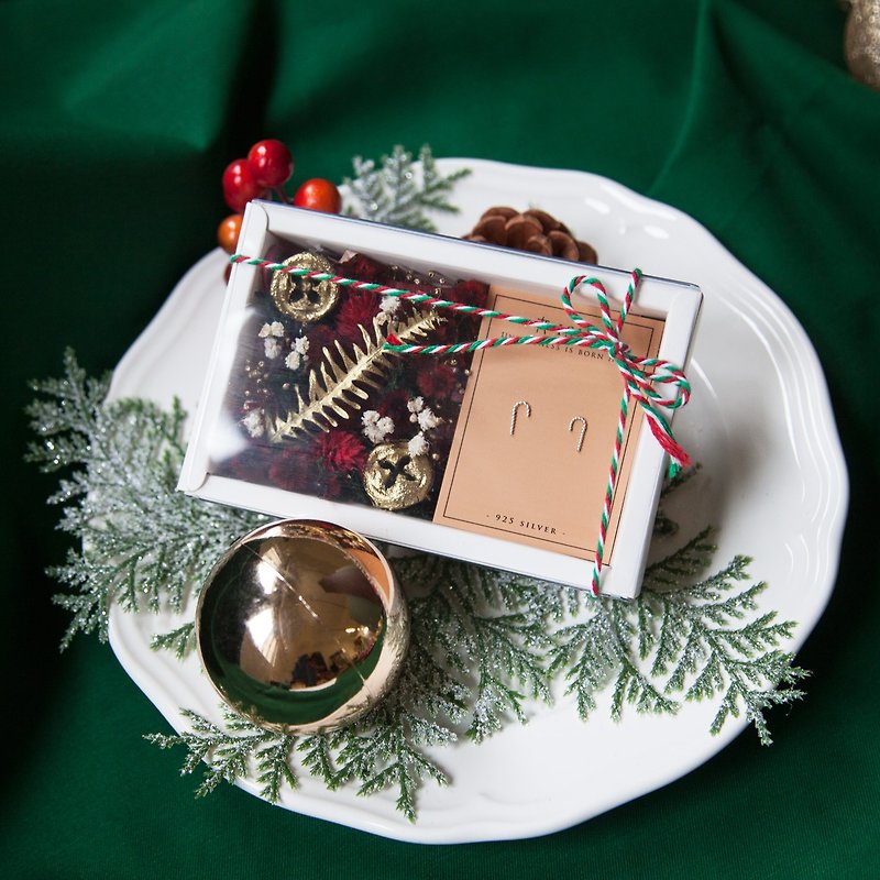 聖誕超值純銀耳環花盒組 - 耳環/耳夾 - 純銀 