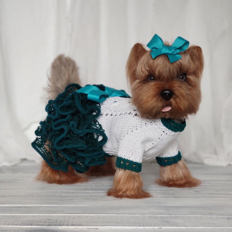 Girl dog clothes  Emerald green and white knit dog sweater dress - Clothing & Accessories - Cotton & Hemp Green