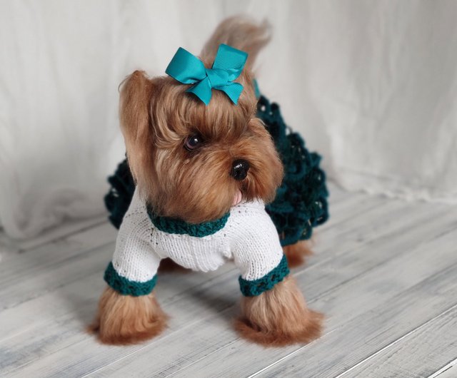 Girl dog clothes Emerald green and white knit dog sweater dress