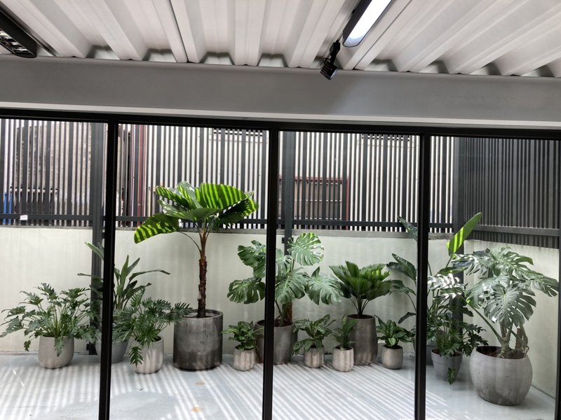 【居家綠化】台南透天厝－雨林熱帶風 - 盆栽/植栽 - 植物．花 