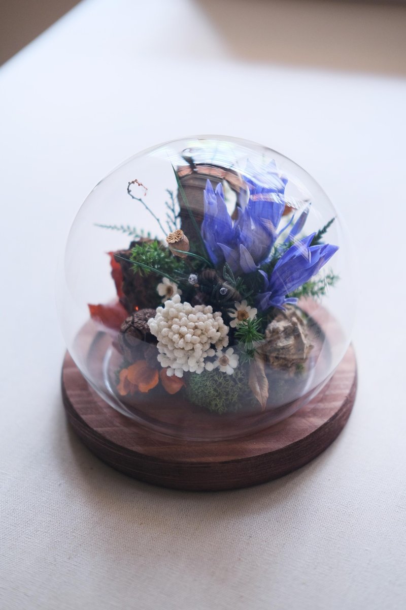 永生龍膽花標本玻璃盅/生日禮物/開幕禮物 - 乾燥花/永生花 - 植物．花 