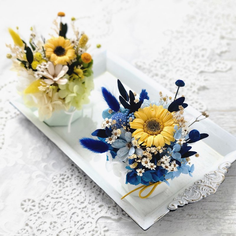 Everlasting and fragrant small potted flowers - blue sky sun birthday gift Christmas gift - Dried Flowers & Bouquets - Plants & Flowers Blue