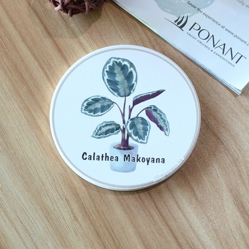 Calathea Makoyana - ttgarden original ceramic absorbent coaster - Coasters - Pottery 