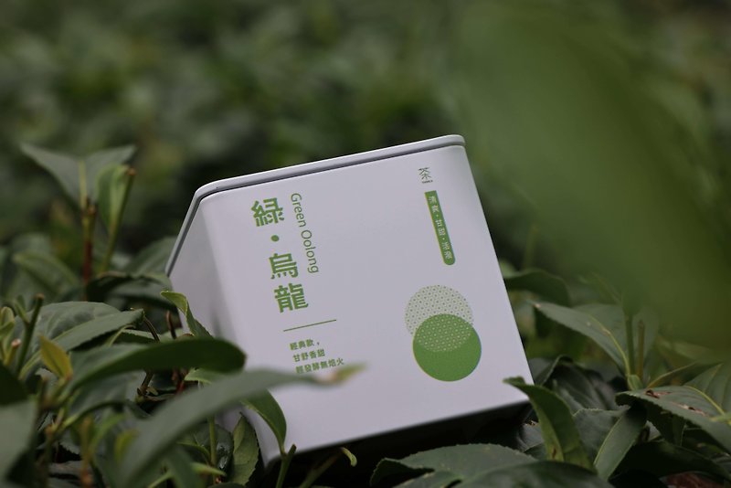 【ChaChaCha】High Mountain Oolong Tea-Green‧ Oolong Iron Can 75g - Tea - Fresh Ingredients Green