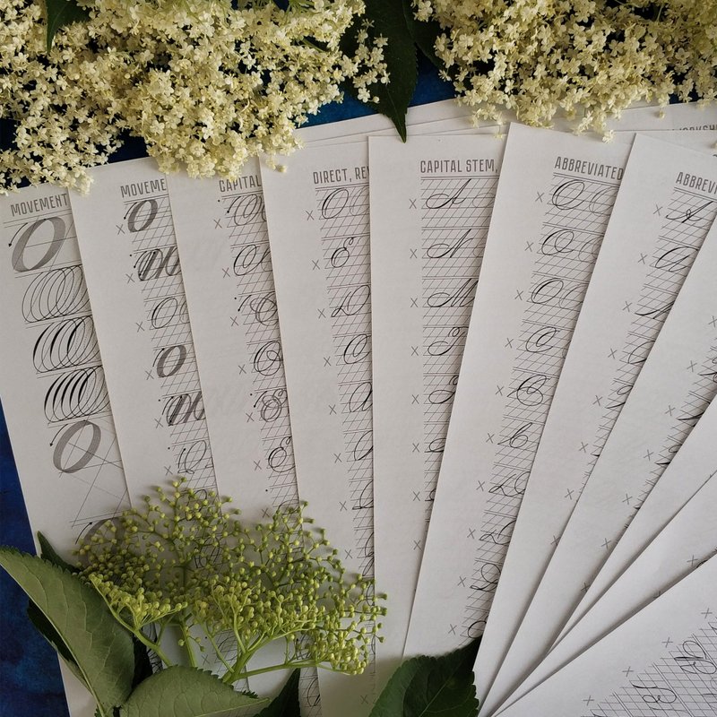 Spencerian Varietys Capital letters Printable PDF Calligraphy Practice sheets - 手工藝教學/工具書 - 其他材質 
