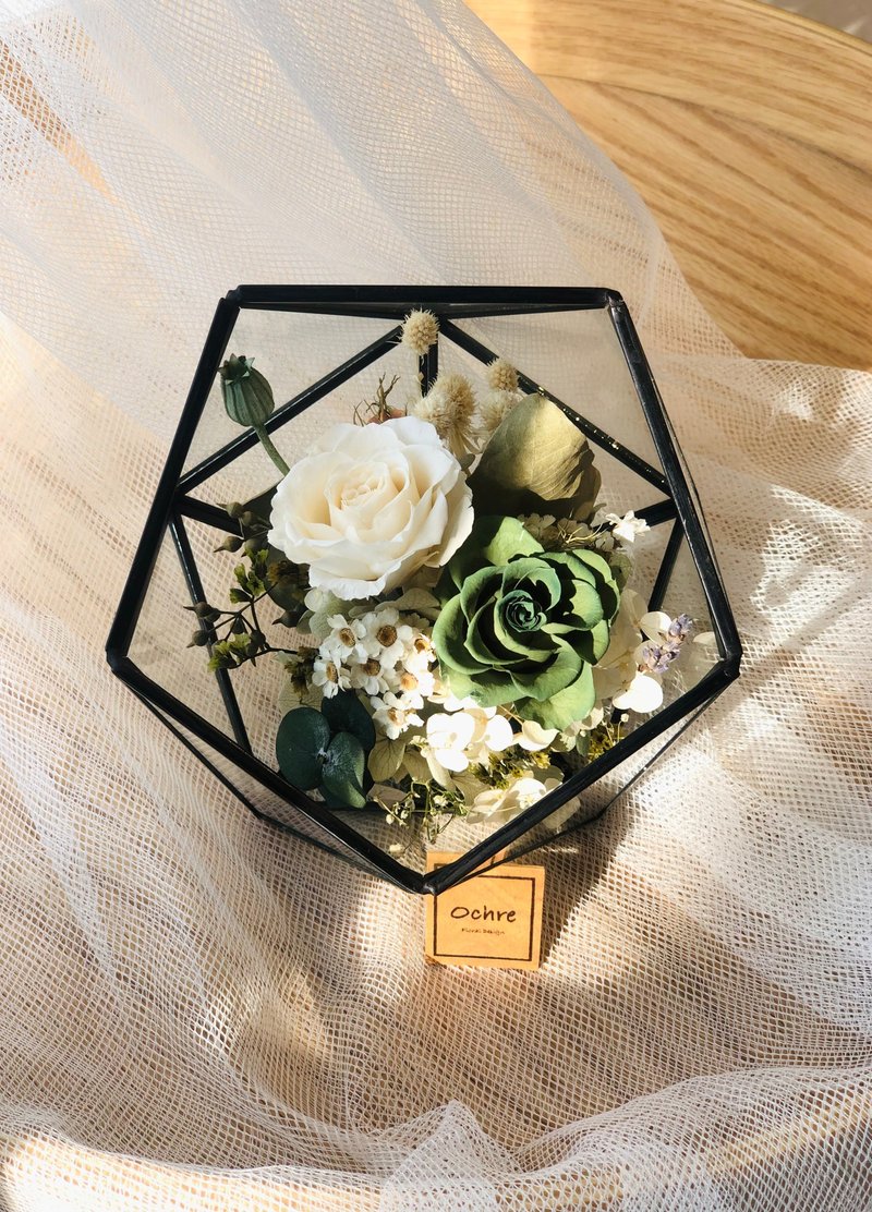 Ochre 玻璃花房系列-半圓黑邊 - 乾燥花/永生花 - 植物．花 多色