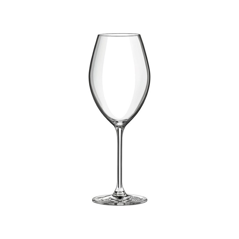 【RONA】Slovakia Le Vin series-Syrah red wine glass 510ml - Bar Glasses & Drinkware - Glass 