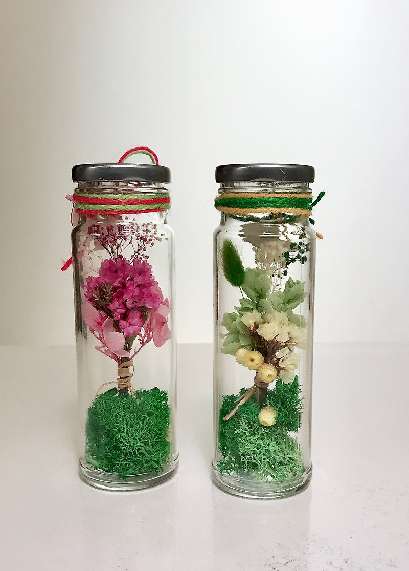 Dry flowers / not withered vase / table decorations / birthday gift / small bouquet in the bottle / green mossy bottom - ของวางตกแต่ง - พืช/ดอกไม้ สึชมพู