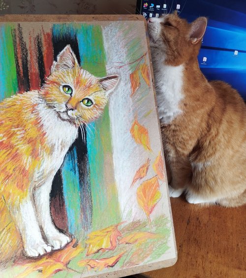 赤猫秋画パステルポートレート動物アートを描く - ショップ