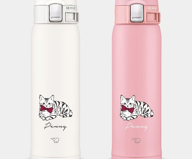 Insulated stainless steel waterbottle. Bullet water bottle.