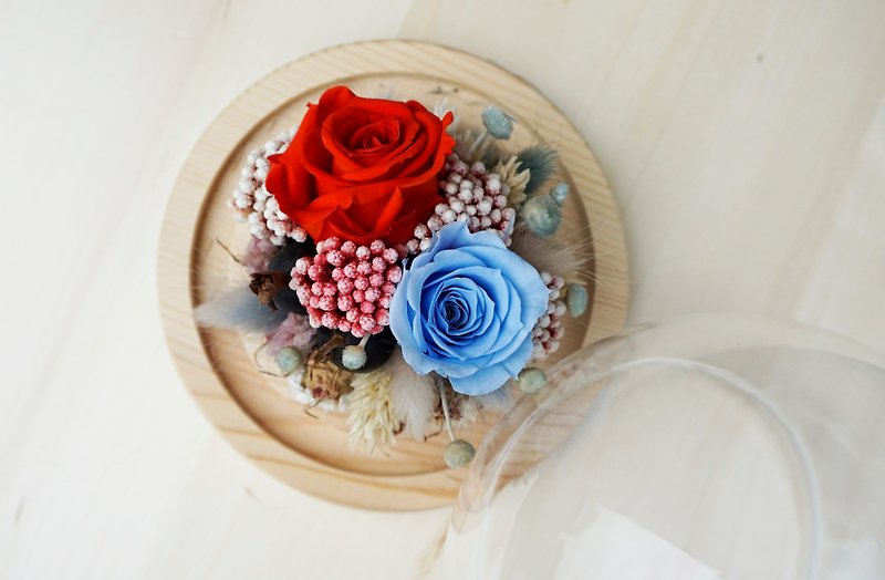 玫瑰玻璃罩/玻璃罩球/永生玫瑰/紅玫瑰/禮物 - 乾花/永生花 - 植物．花 紅色
