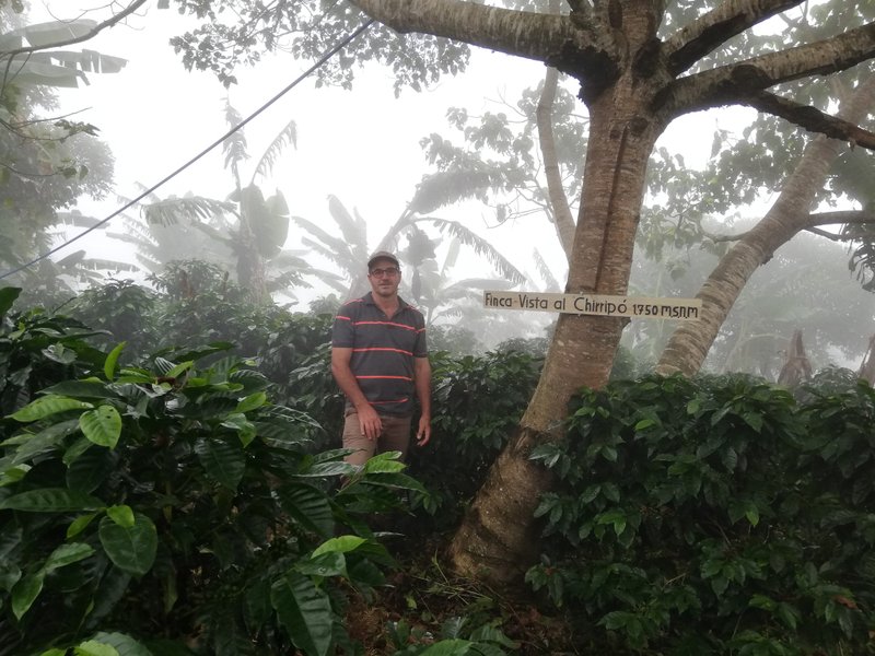 Black Honey x Chirripó Belle Vista Estate, San José, Costa Rica - กาแฟ - อาหารสด 