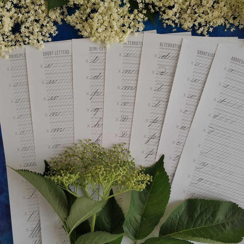 Spencerian Varietys Lowercase letters Printable PDF Calligraphy Practice sheets - 手工藝教學/工具書 - 其他材質 