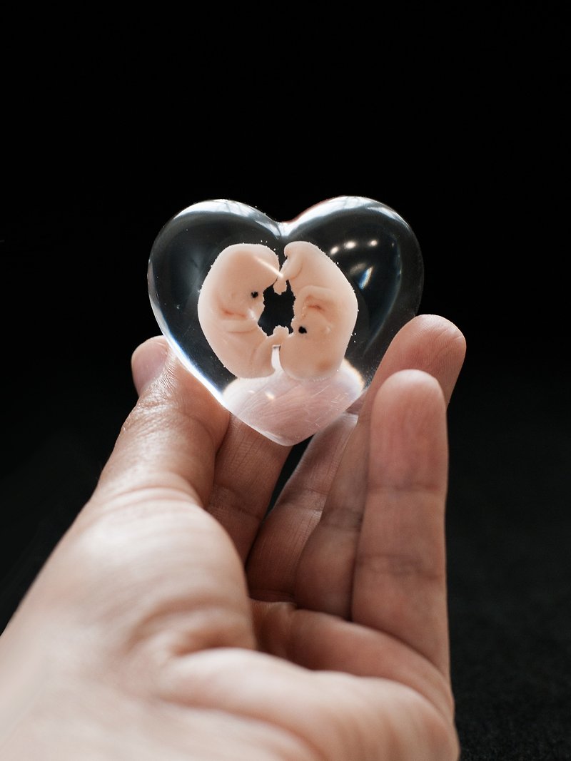 Twins Embryo 8 weeks cast in resin, 8 weeks pregnant, bereavement fetus - Stuffed Dolls & Figurines - Resin 